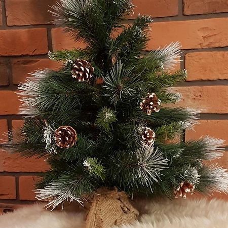 Apartamenty Bachledzki Wierch, Zakopane Esterno foto